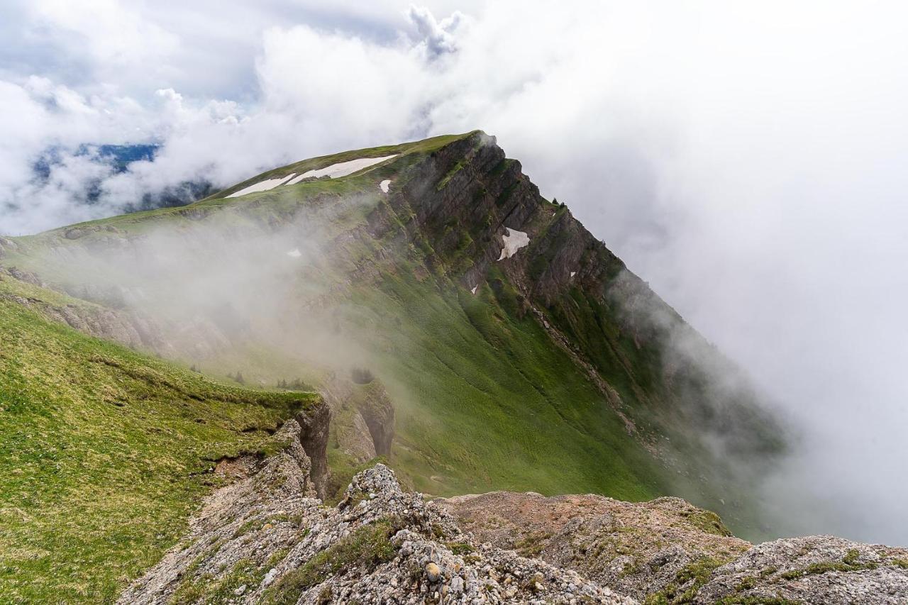Gruenes Allgaeu Simon Held Opfenbach Екстер'єр фото